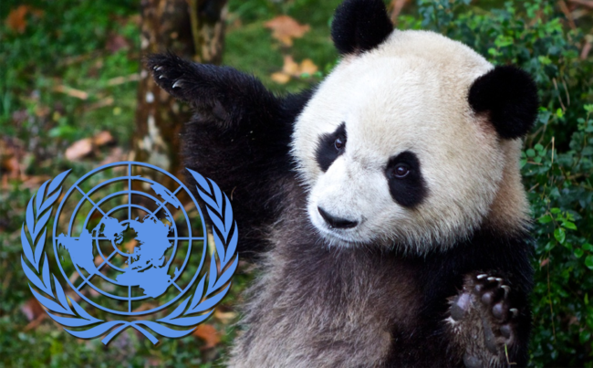 thumb Em dia mundial, ONU celebra 25 anos de convenção para proteger biodiversidade