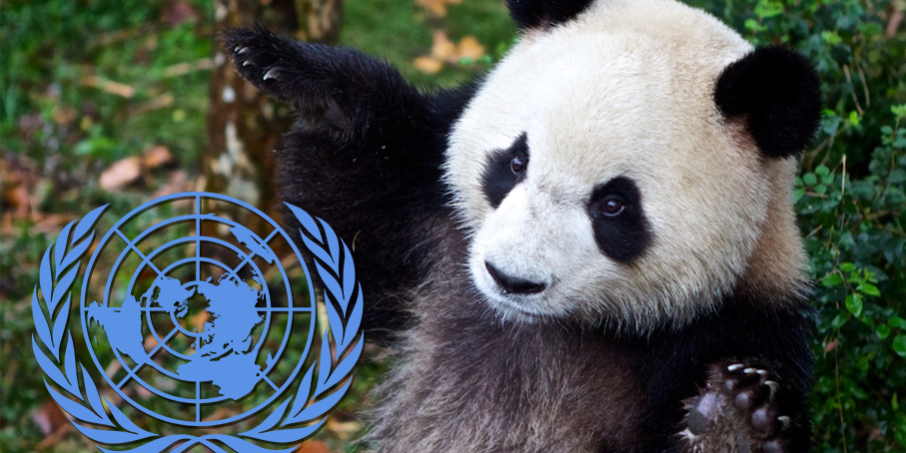 Em dia mundial, ONU celebra 25 anos de convenção para proteger biodiversidade